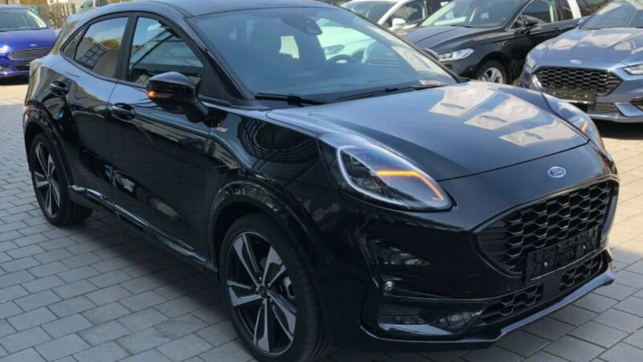 focus puma st