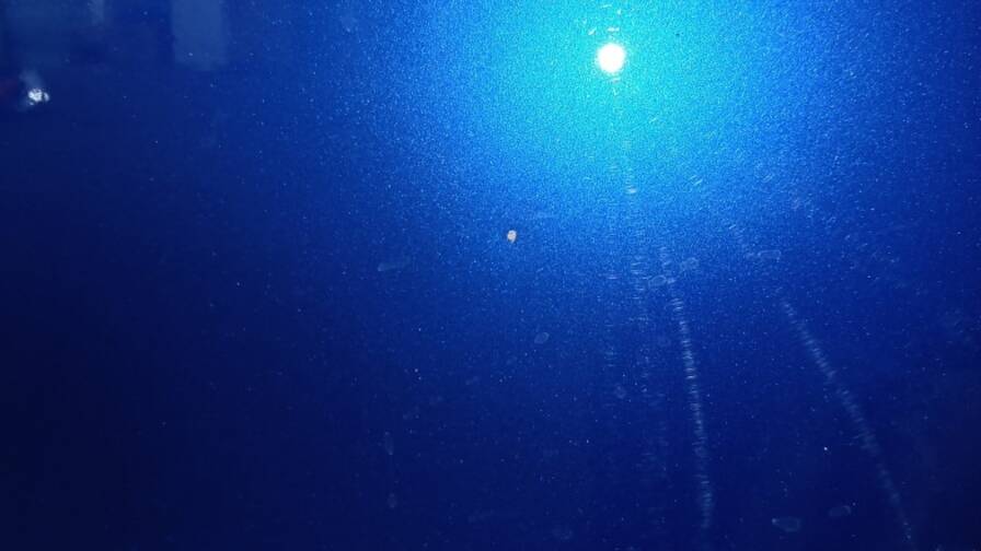 Mandataire Automobile occasion, recherche de Renault Clio-1-0-tce-90ch-techno - E-Motors