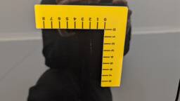 CITROEN C5 X C5 X PureTech 130 EAT8 Plus