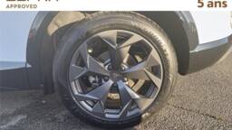 CUPRA FORMENTOR FORMENTOR Ehybrid 204 ch dsg6 v