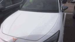 CUPRA LEON Leon 1.5 eTSI Hybrid 150 ch DSG7 V