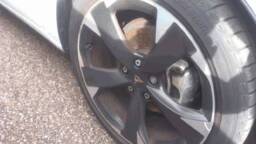 CUPRA LEON Leon 1.5 eTSI Hybrid 150 ch DSG7 V