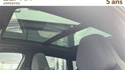 CUPRA TERRAMAR TERRAMAR 1.5 etsi hybrid 150 ch dsg7 v