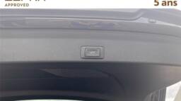 CUPRA TERRAMAR TERRAMAR 1.5 etsi hybrid 150 ch dsg7 v