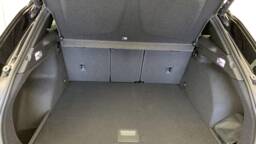 CUPRA TERRAMAR Terramar 1.5 eTSI Hybrid 150 ch DSG7 V