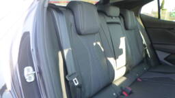 DS DS 4 DS 4 BlueHDi 130 EAT8 Pallas +Pack confort