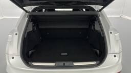 DS DS7 CROSSBACK DS7 CROSSBACK 1.6 Hybride E-Tense 300 EAT8 4x4 Rivoli