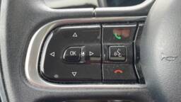 FIAT 500 III 500 III E 95 ch action