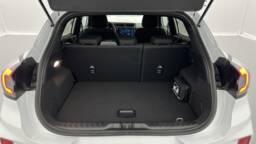 FORD PUMA PUMA 1.0 EcoBoost 125ch mHEV Powershift ST-Line