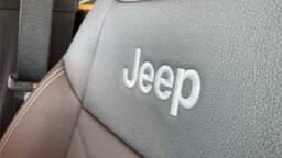 JEEP AVENGER AVENGER 1.2 turbo t3 100 ch e-hybrid bvr6 summit