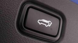 KIA SPORTAGE BUSINESS SPORTAGE 1.6T-GDi HEV 215 GT-Line