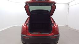 MAZDA MX-30 2020 MX-30 e-Skyactiv 145 ch - First Edition Industrial Vintage