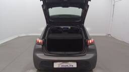 PEUGEOT 208 208 PureTech 100 Active +GPS +PDC AR