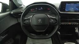 PEUGEOT 208 208 PureTech 100 Active +GPS +PDC AR
