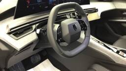 PEUGEOT 3008 3008 Hybrid 145 e-DCS6 Business5 portes VP Essence sans plomb072025