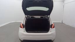 PEUGEOT 308 308 PureTech 110 Active +GPS +Mirror Link