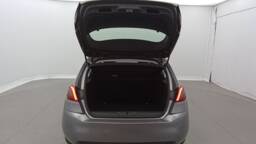 PEUGEOT 308 308 PureTech 110 Active +GPS +PDC AR/AV