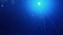 RENAULT Clio Clio 1.0 TCE 90CH TECHNO