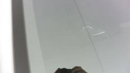 RENAULT Espace Espace 1.2 E-TECH FULL HYBRID 200CH ESPRIT ALPINE 7 PLACES - 24