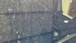 RENAULT Trafic Trafic L2H1 1300 2.0 DCI 120CH GRAND CONFORT S&S E6