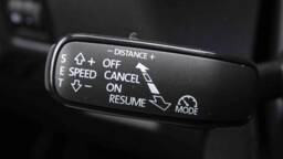 SKODA FABIA Fabia 1.0 TSi 115 DSG Monte Carlo