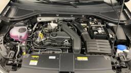 VOLKSWAGEN T-ROC T-roc 1.5 TSI EVO2 150 Start/Stop DSG7 Life